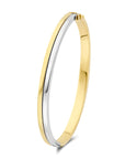 14K Bicolor Goud Geel/Wit Bangle Scharnier Vlakke Buis 5 mm 4207610 - PansiteNederland.nl