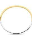 14K Bicolor Goud Geel/Wit Bangle Scharnier Vlakke Buis 5 mm 4207610 - PansiteNederland.nl