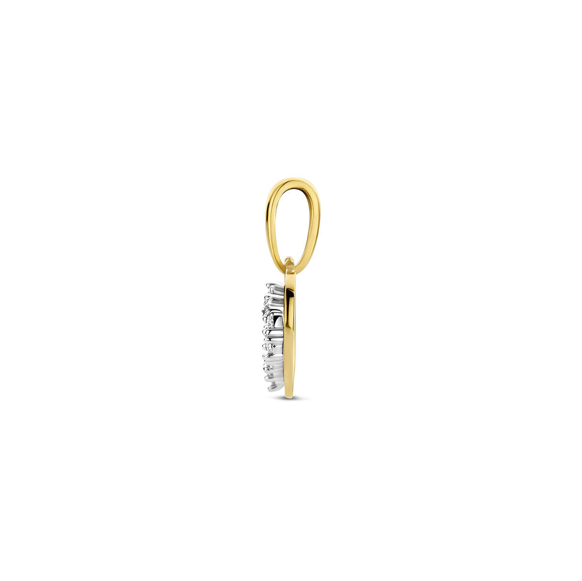 Hanger hart zirkonia 14K bicolor goud
