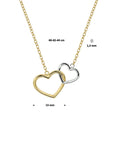 14K bicolor goud geel/wit collier hart 40 - 44 cm 4207722 - PansiteNederland.nl