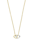 14K bicolor goud geel/wit collier hartjes 41 - 43 - 45 cm 4207857 - PansiteNederland.nl