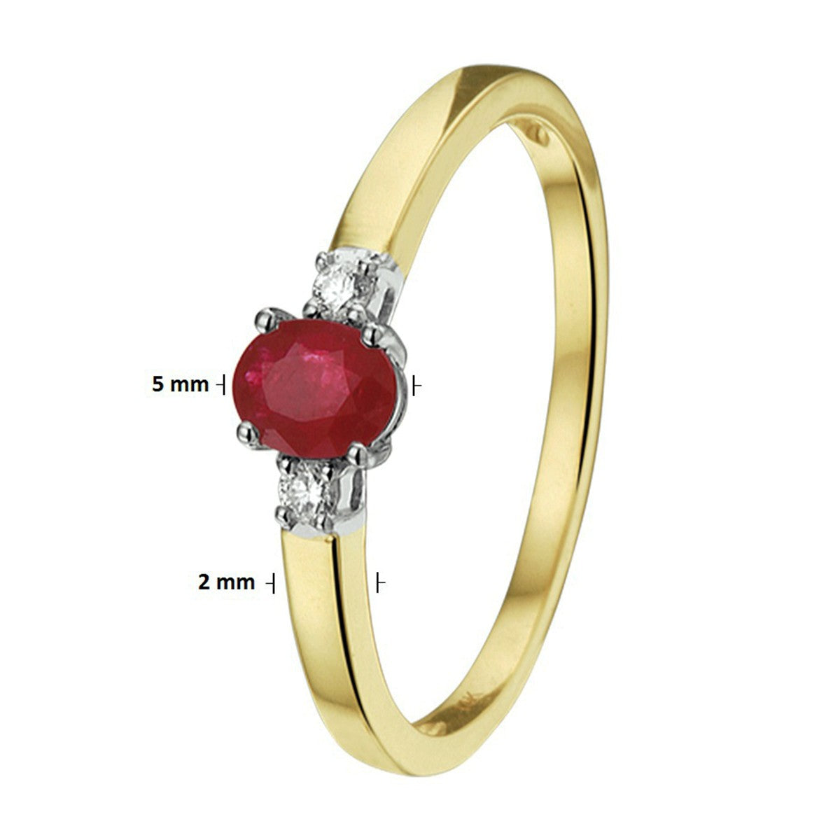 Fantasy Collection Ring robijn en diamant 0.05ct h si 14K bicolor goud