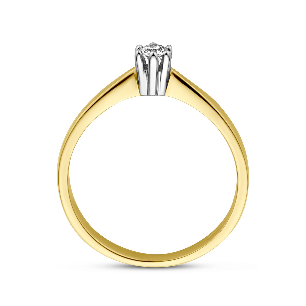 Fantasy Collection Ring diamant 0.10ct h si 14K bicolor goud