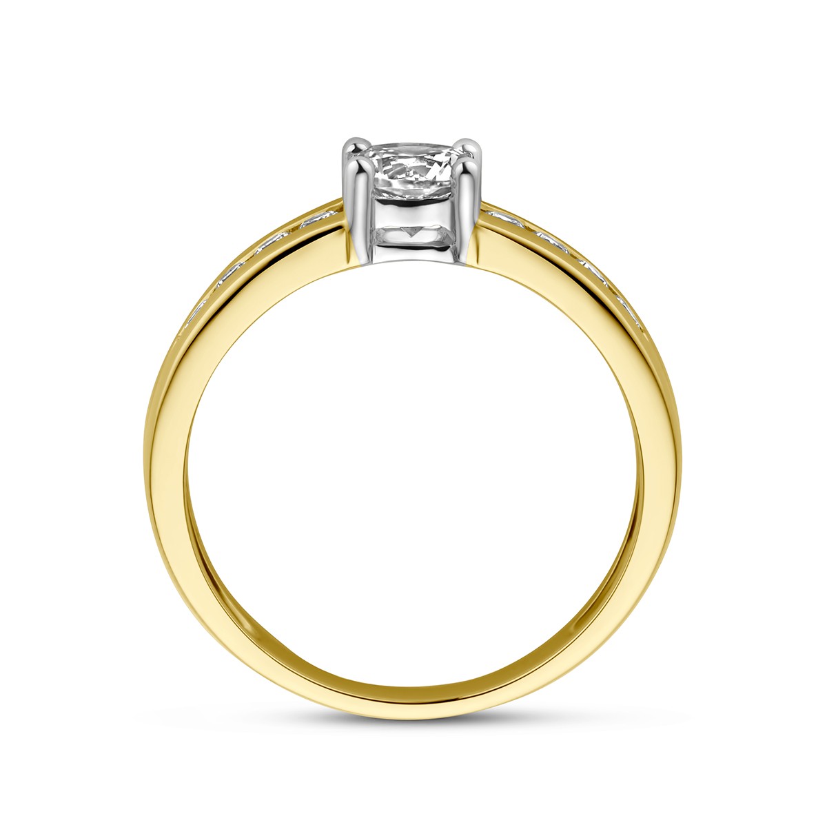 Fantasy Collection Ring zirkonia 14K bicolor goud