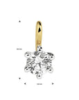 14K bicolor goud geel/wit hanger zirkonia 4208653 - PansiteNederland.nl