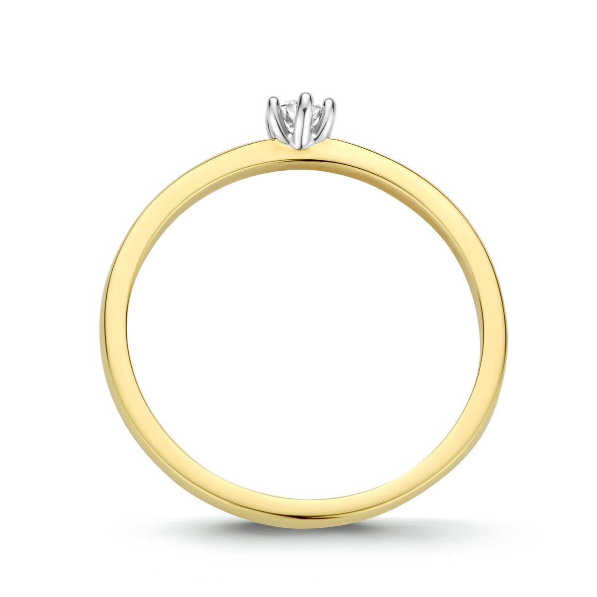 Fantasy Collection Ring diamant 0.10ct h si 14K bicolor goud