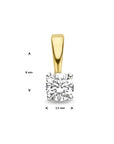 14K Bicolor Gouden Hanger | Hanger Diamant h si | 4208894 - PansiteNederland.nl