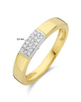 14K Bicolor Geel- En Witgoud Geel/Wit Ring Diamant 0.07Ct H Si 4208912 - PansiteNederland.nl