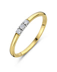 14K Bicolor Geel- En Witgoud Geel/Wit Memoire Ring Trilogie Diamant 0.09Ct H Si 4208922 - PansiteNederland.nl