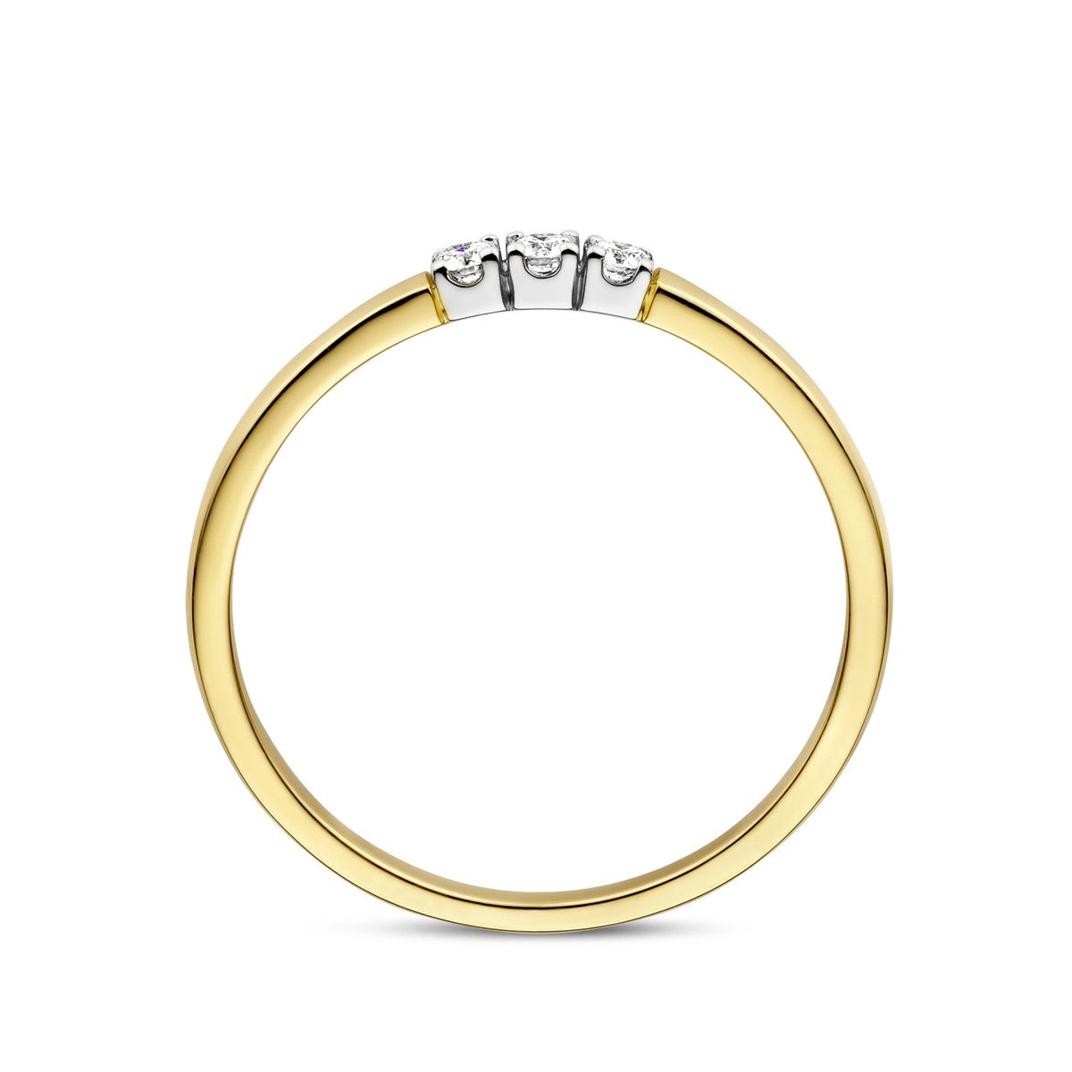 Fantasy Collection Memoire ring trilogie diamant 0.09ct h si 14K bicolor goud