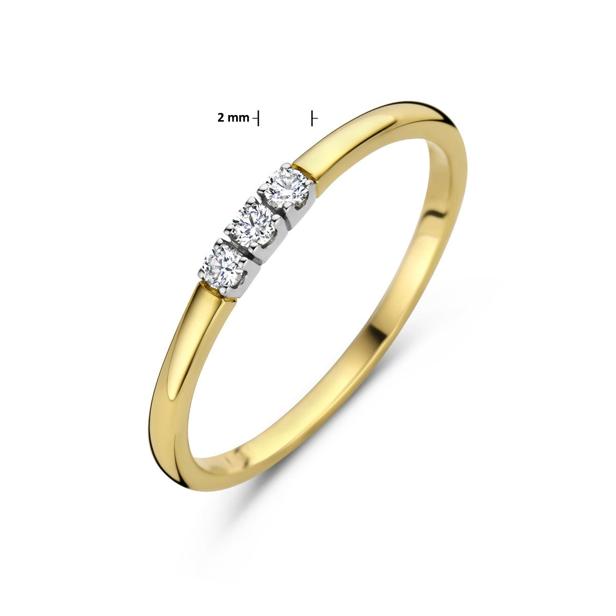 Fantasy Collection Memoire ring trilogie diamant 0.09ct h si 14K bicolor goud