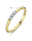 14K Bicolor Geel- En Witgoud Geel/Wit Memoire Ring Trilogie Diamant 0.09Ct H Si 4208922 - PansiteNederland.nl