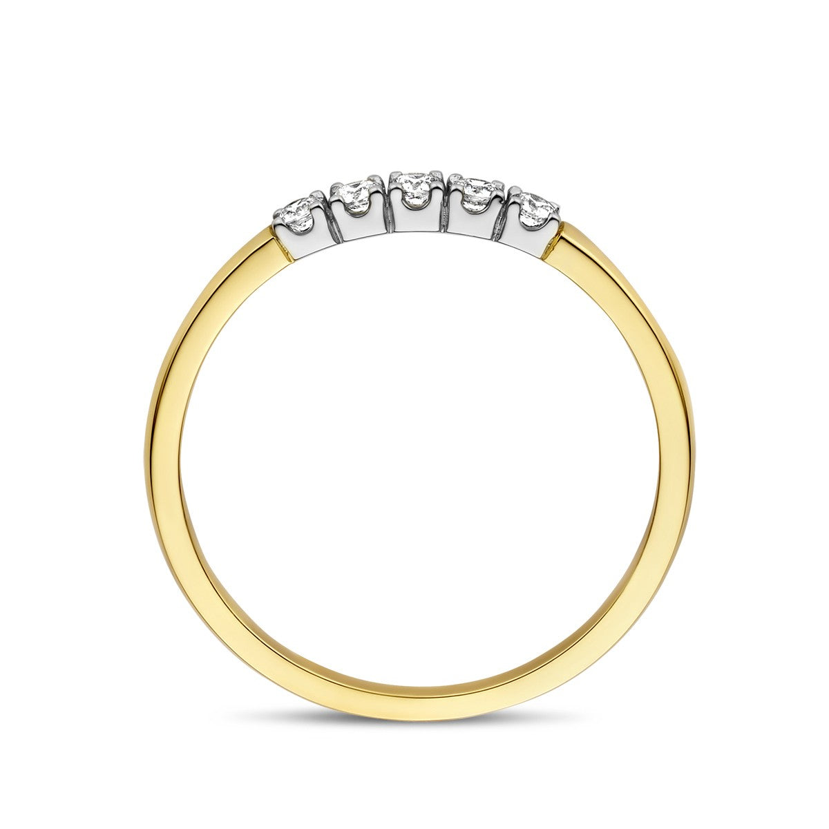 Fantasy Collection Memoire ring diamant 0.15ct h si 14K bicolor goud