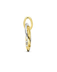 14K bicolor goud geel/wit hanger diamant 0.03ct h si 4208958 - PansiteNederland.nl
