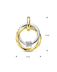 14K bicolor goud geel/wit hanger diamant 0.03ct h si 4208958 - PansiteNederland.nl