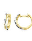 14K Bicolor Goud Geel/Wit Klapoorringen Diamant 0.03Ct (2X 0.015Ct) H Si 4208959 - PansiteNederland.nl