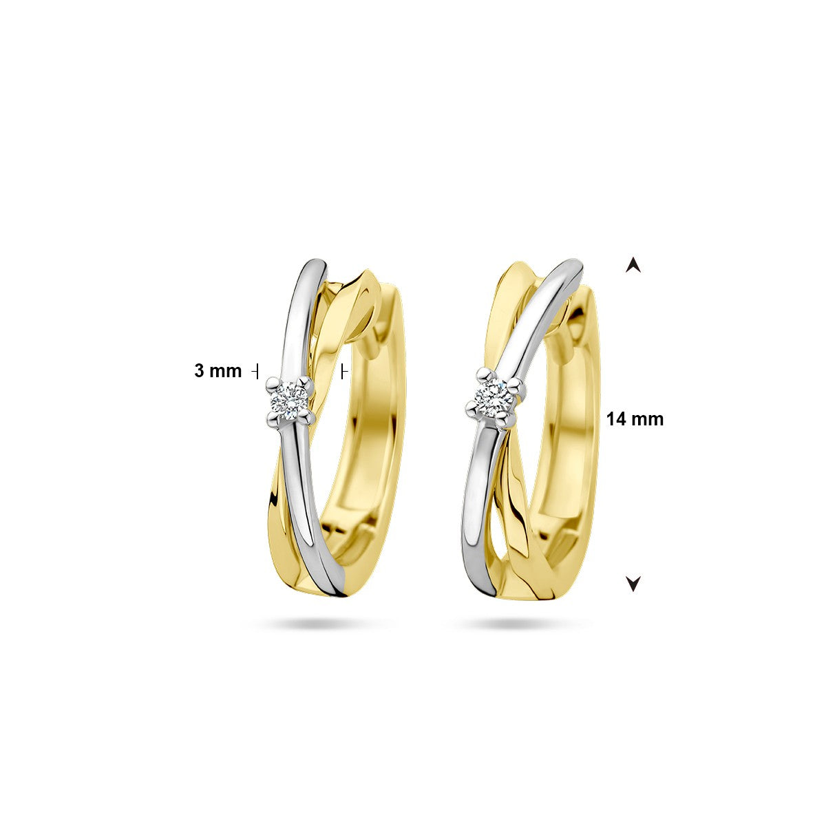 Fantasy Collection Oorbellen diamant 0.03ct (2x 0.015ct) h si 14K bicolor goud