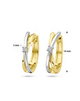 14K Bicolor Goud Geel/Wit Klapoorringen Diamant 0.03Ct (2X 0.015Ct) H Si 4208959 - PansiteNederland.nl