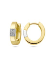 14K Bicolor Goud Geel/Wit Klapoorringen Diamant 0.07Ct (2X0.035Ct) H Si 4208984 - PansiteNederland.nl
