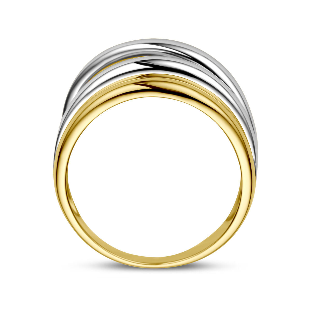 Fantasy Collection Ring 14K bicolor goud