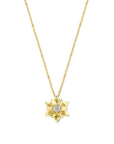 14K Bicolor Goud Geel/Wit Collier Diamant 0.03Ct H Si 41 - 43 - 45 Cm - 4209042 - PansiteNederland.nl