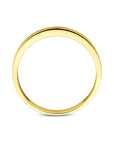 14K geelgouden ring 4033451 - PansiteNederland.nl