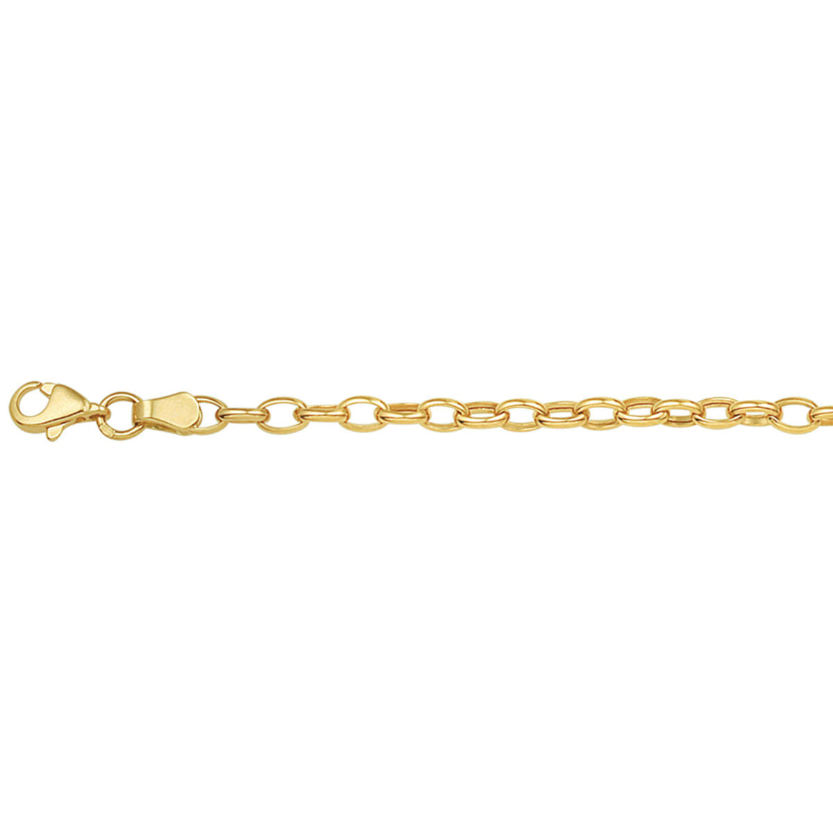 Fantasy Collection Collier anker 3,1 mm 43 cm 14K geelgoud