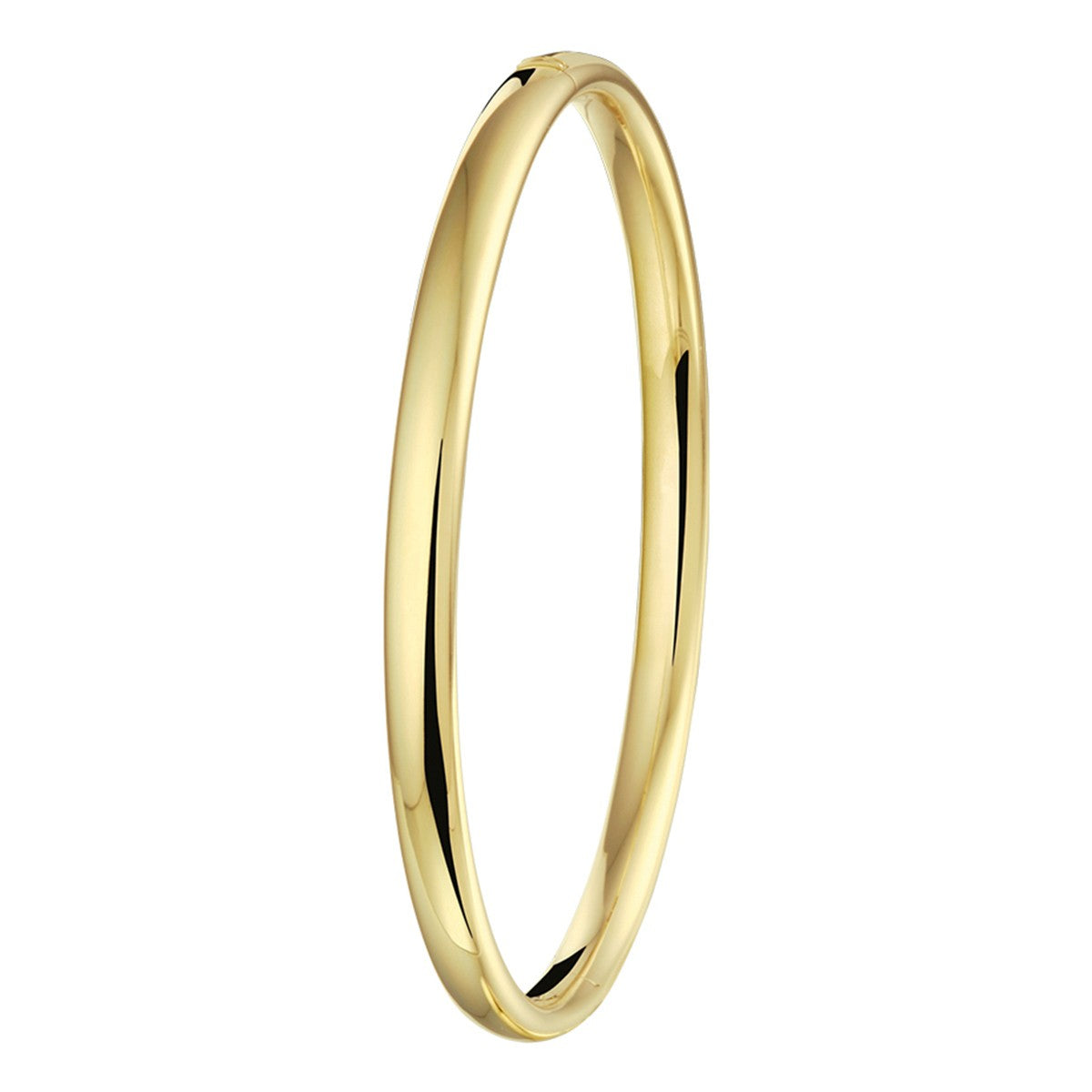 Fantasy Collection Bangle scharnier massief ovale buis 5 mm silgold