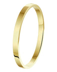 bangle scharnier massief vlakke buis 6,0 mm Zilgold (geelgoud met zilverkern) - PansiteNederland.nl