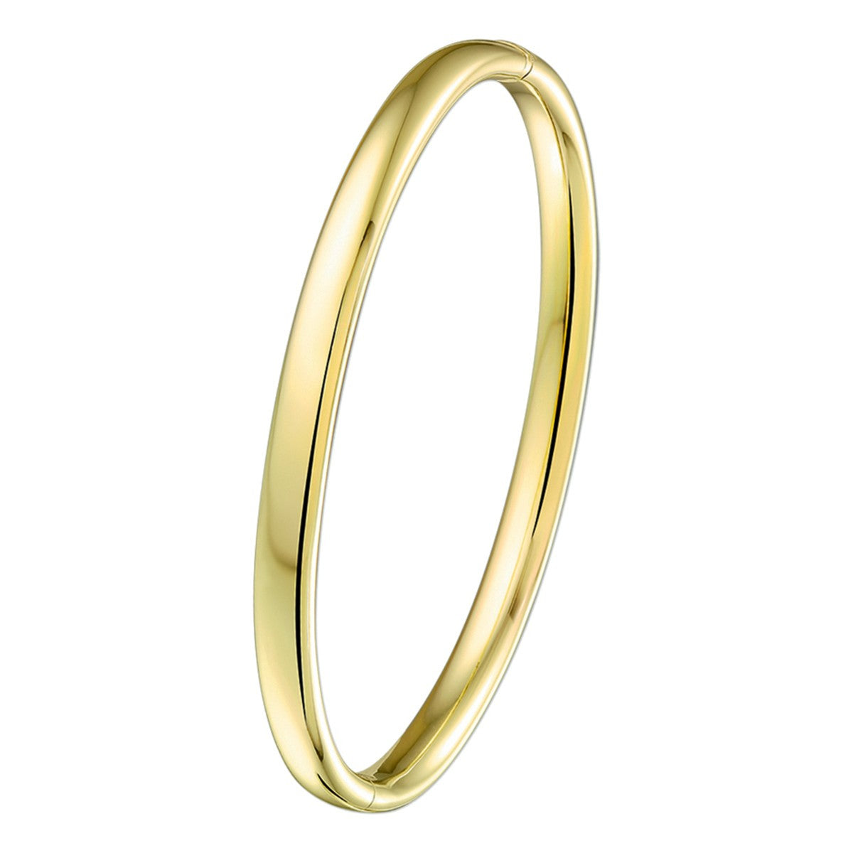 Fantasy Collection Bangle scharnier massief ovale buis 5 mm silgold