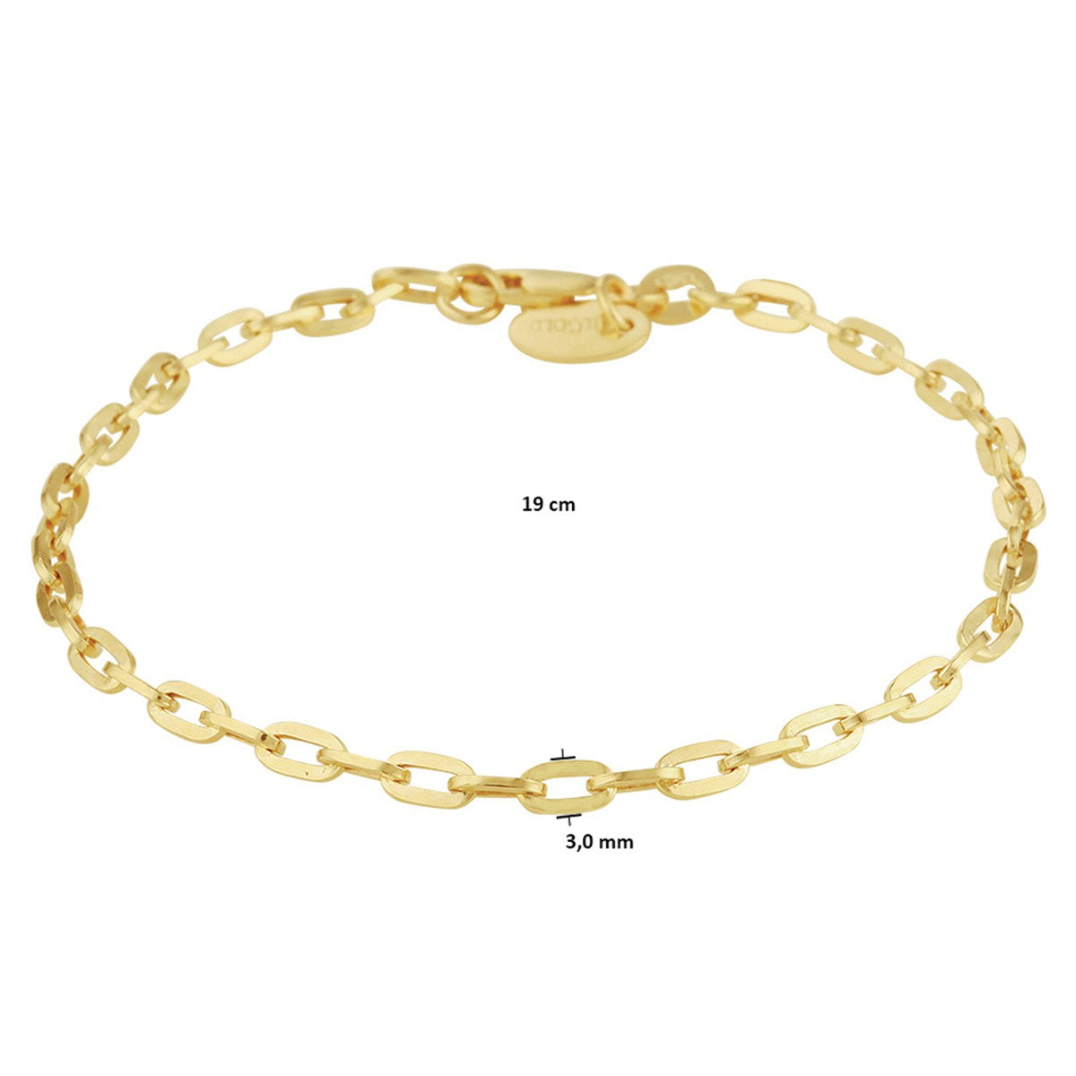 Fantasy Collection Armband anker massief 3,0 mm 19 cm silgold