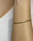 Zilgold (Geelgoud Met Zilverkern) Armband Gourmet 4,7 Mm 19 Cm 5000246 - PansiteNederland.nl