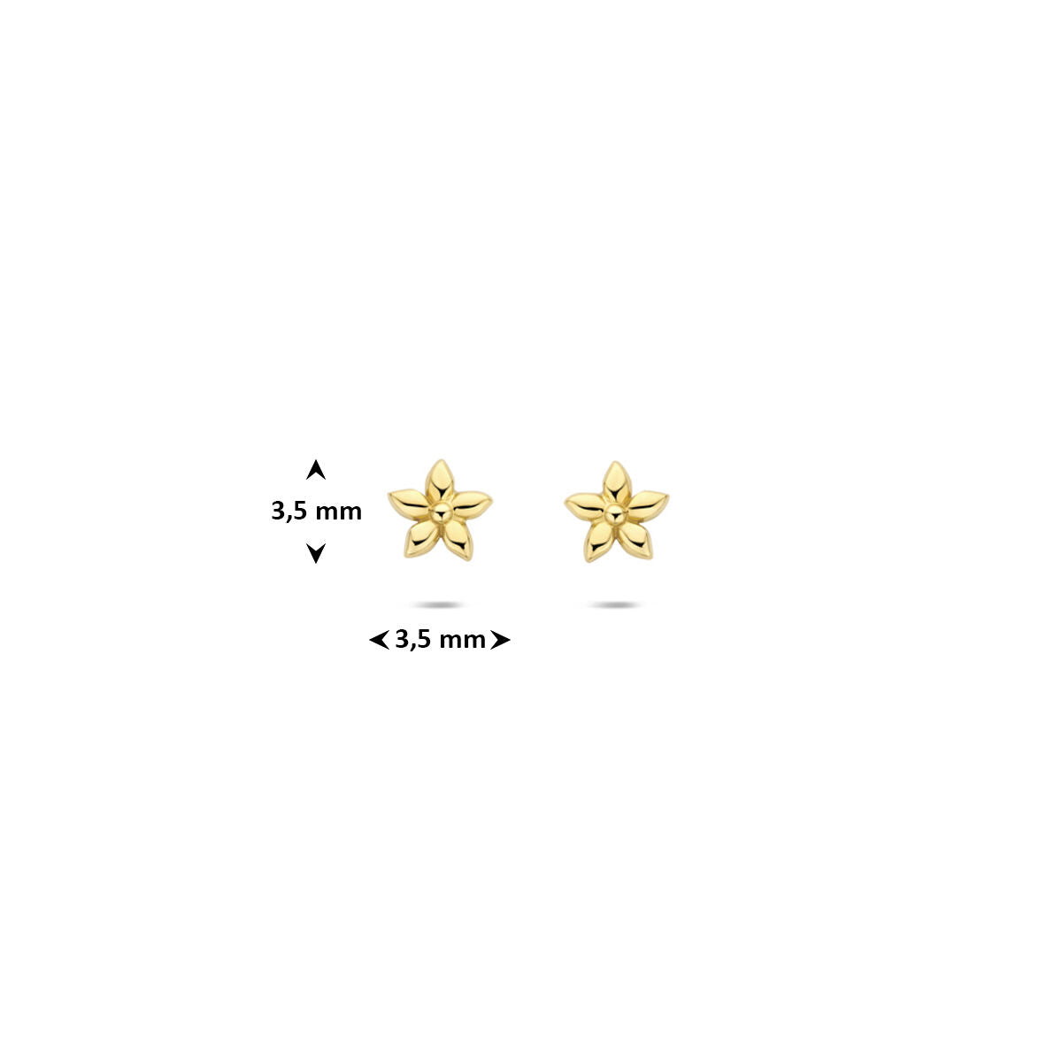 Fantasy Collection Oorbellen bloem 3,5 mm 14K geelgoud