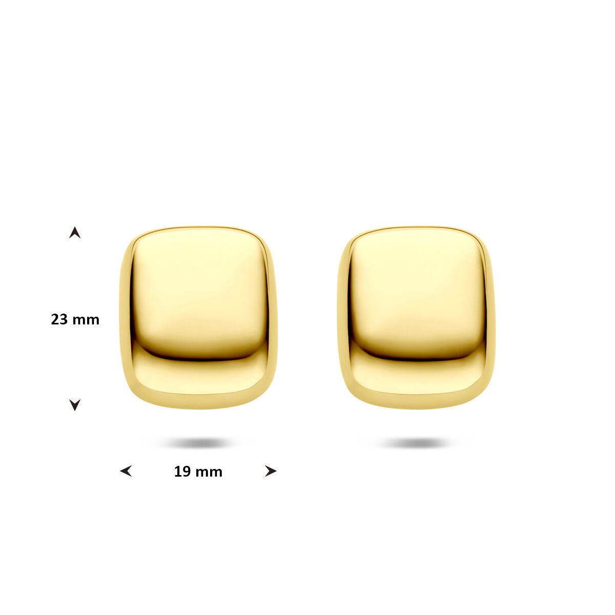 Fantasy Collection Oorbellen ion plating 23 mm edelstaal
