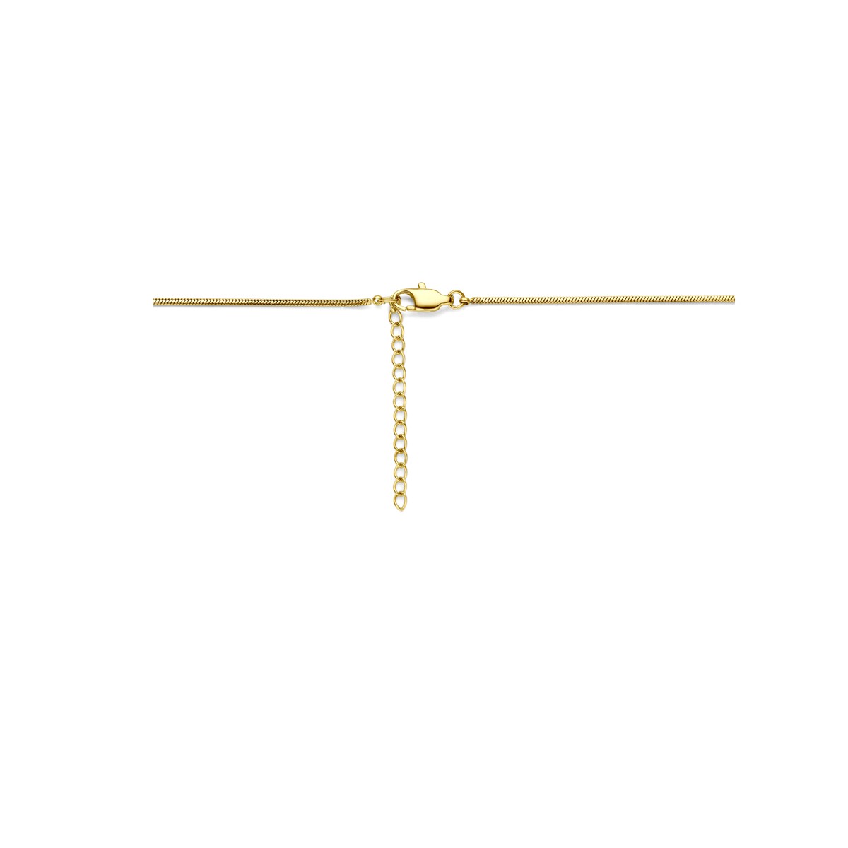 Slang rond 1,4 mm ion plating edelstaal