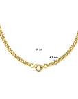 14K geelgoud collier jasseron 6,5 mm 45 cm met groot springslot 4018640 - PansiteNederland.nl
