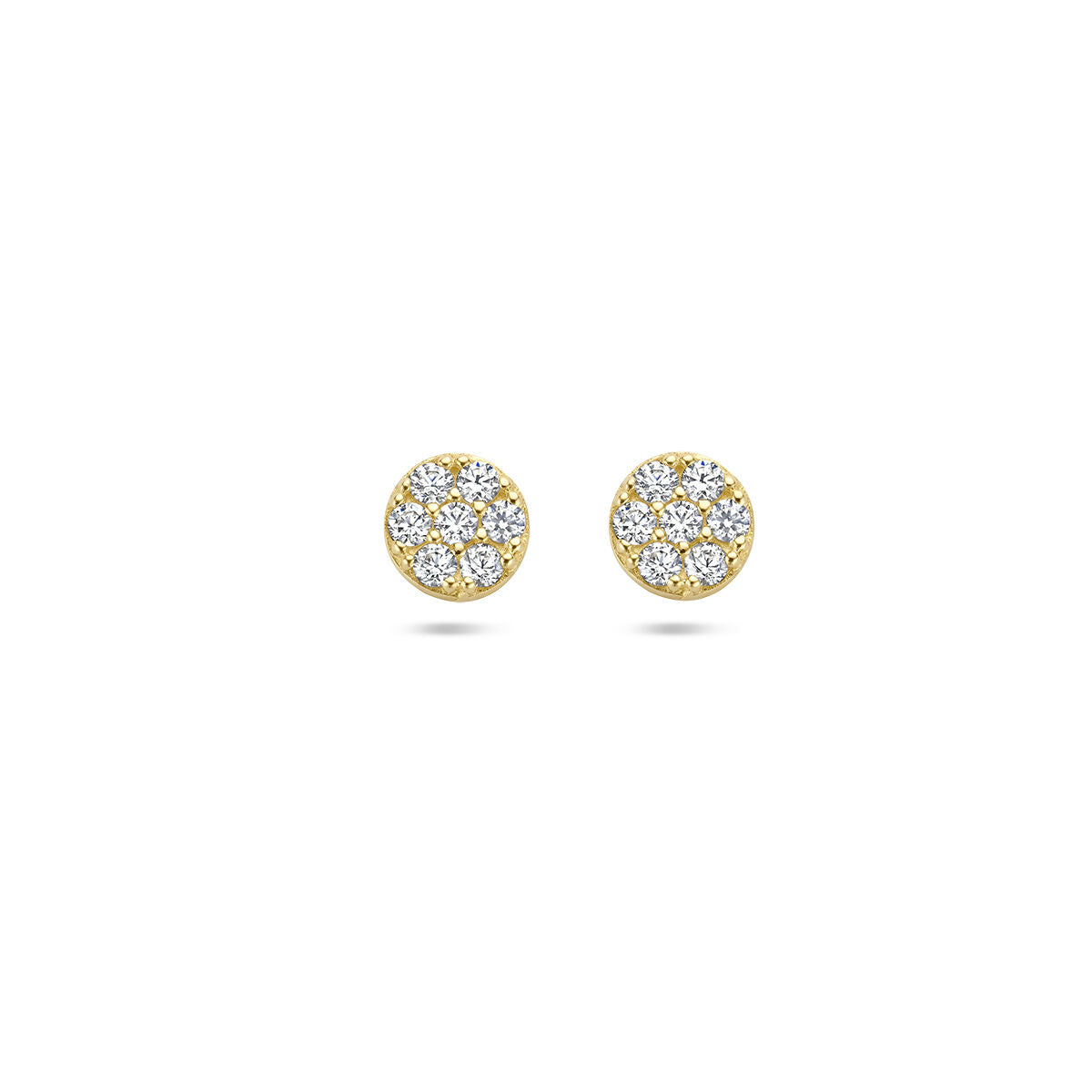 Fantasy Collection Oorbellen zirkonia 14K geelgoud