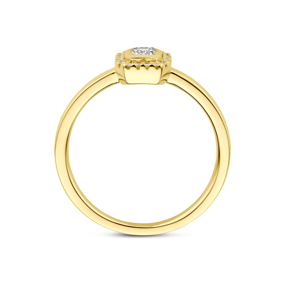 Fantasy Collection Ring diamant 0.31ct h si halo 14K geelgoud