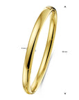18K Geelgoud Bangle Scharnier Ovale Buis 6 X 60 Mm 7000248 - PansiteNederland.nl