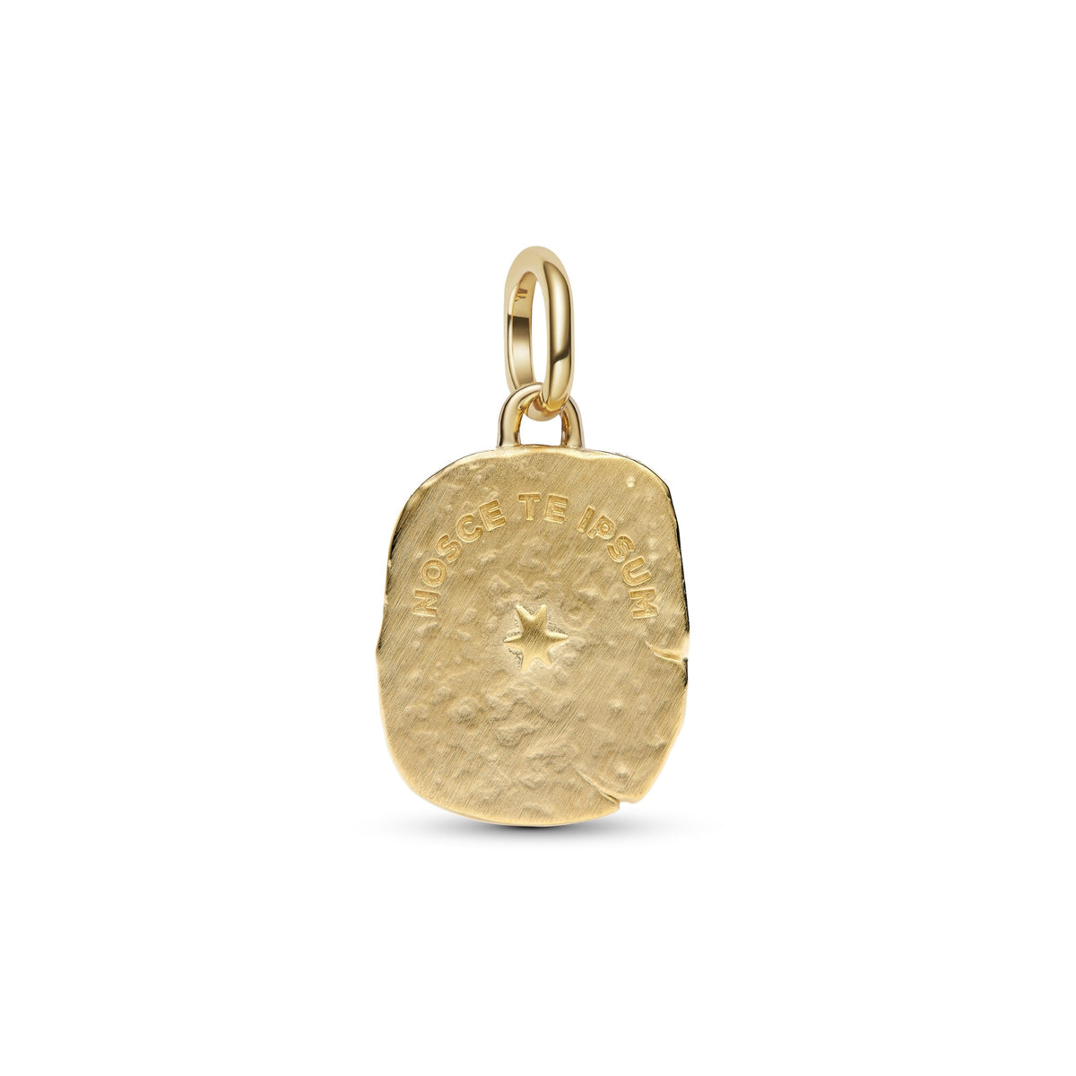 Pandora Oog Medaillonbedel bicolor zilver en goudverguld 764808C01