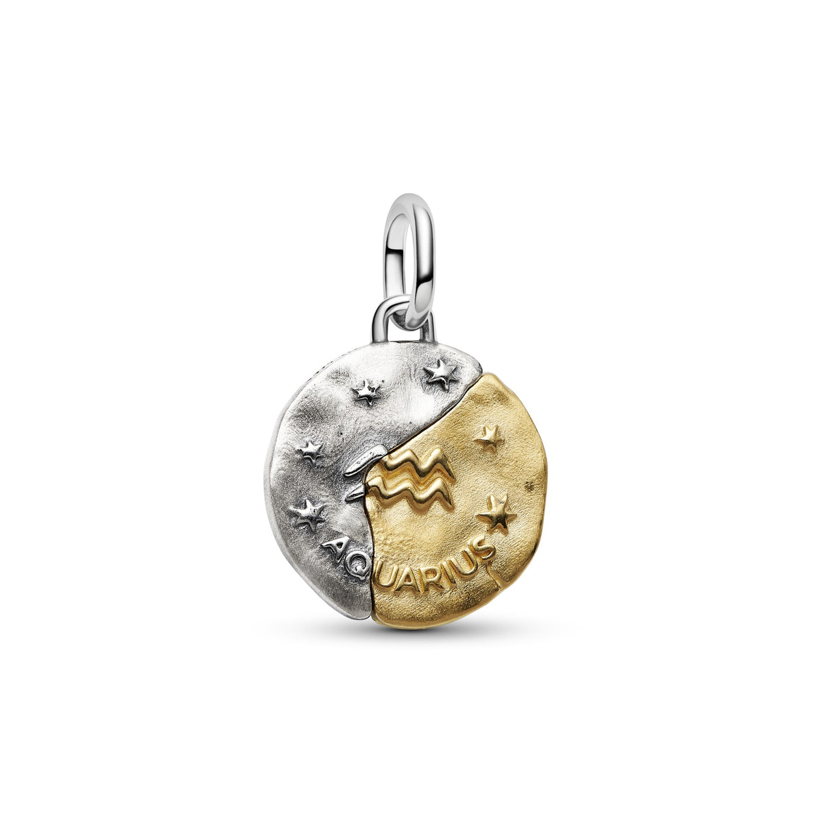 Pandora Dierenriem Waterman Medaillonbedel bicolor zilver en goudverguld 764990C01