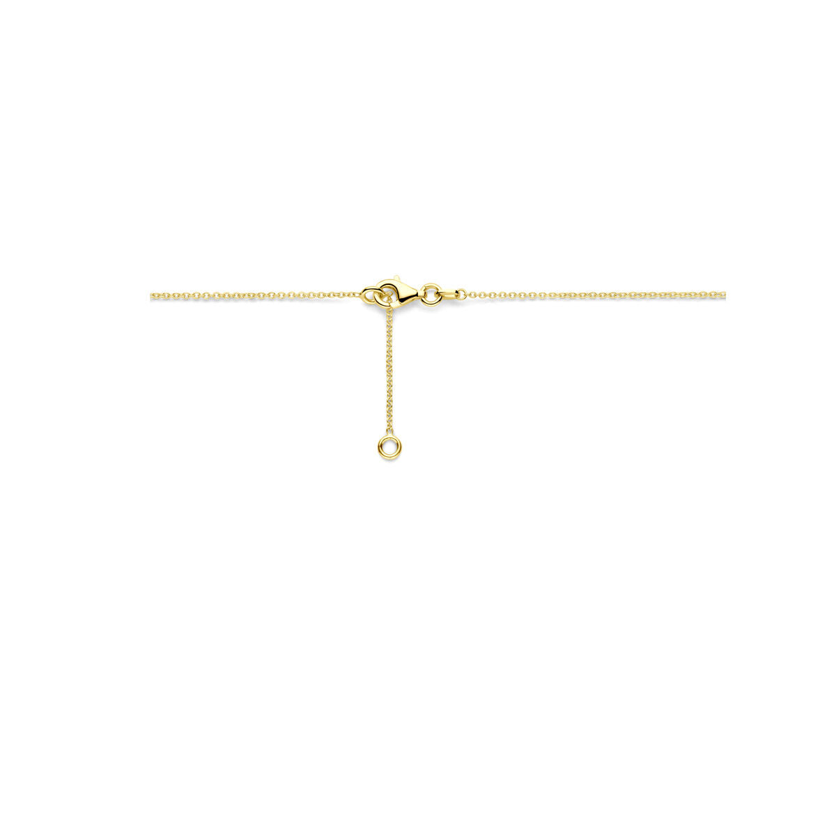 Fantasy Collection Collier 42 - 45 cm 14K geelgoud