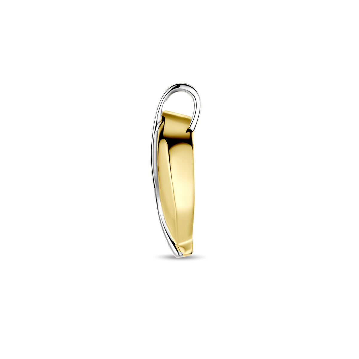 Hanger lab grown diamant 0.03ct f vs 14K bicolor goud 21 mm