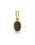 14K geelgoud hanger zwart zirkonia 14 mm 4031726 - PansiteNederland.nl