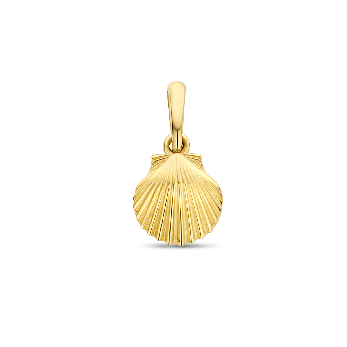 Fantasy Collection Hanger schelp 9K geelgoud 12 mm