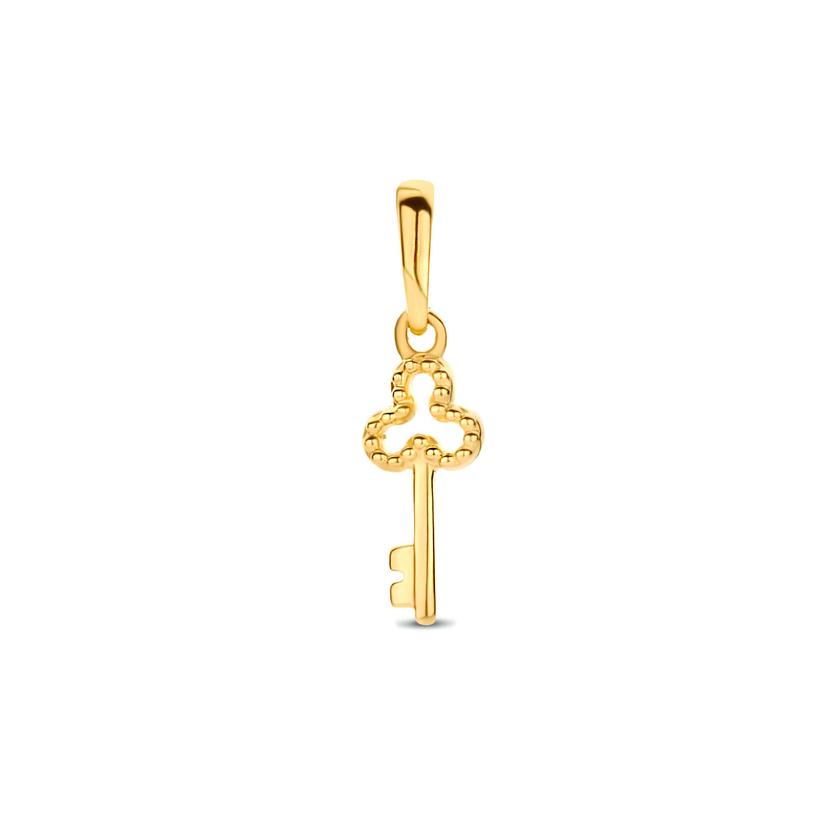 Fantasy Collection Hanger sleutel 9K geelgoud 11,5 mm