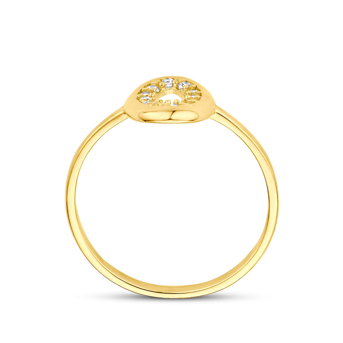 Fantasy Collection Ring zirkonia 9K geelgoud - afbeelding 3