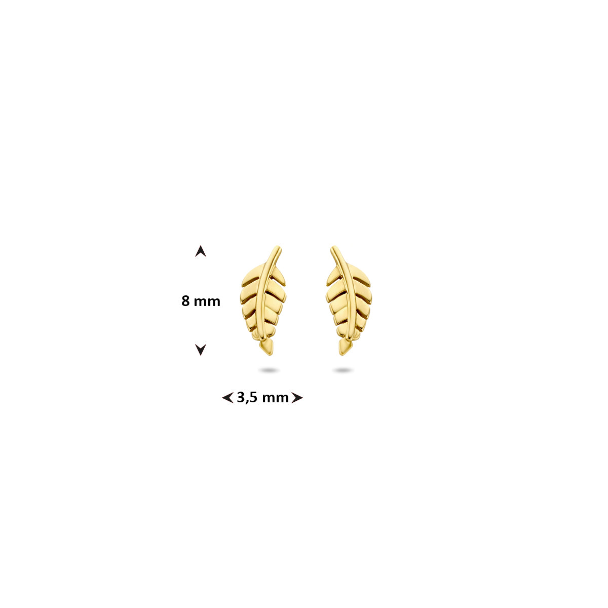 Fantasy Collection Oorknoppen veer 9K geelgoud 8 mm - afbeelding 4