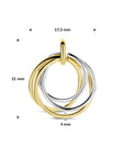 14K bicolor goud geel/wit hanger 21 mm - 4209098 - PansiteNederland.nl