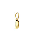 14K geelgouden hanger groen amethist 14 mm - 4033674 - PansiteNederland.nl